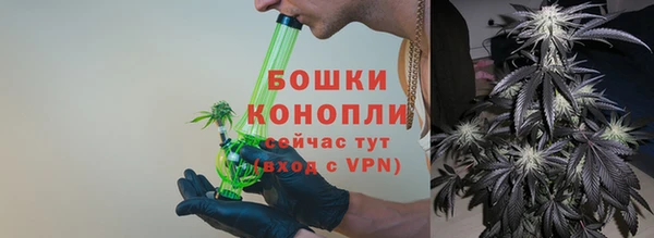 гидра Болотное