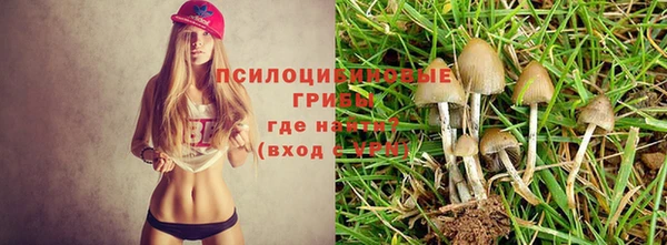 амфетамин Няндома