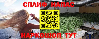 СК Рязань