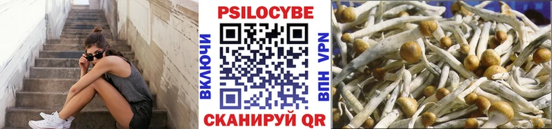 Галлюциногенные грибы прущие грибы  закладки  Шумерля 