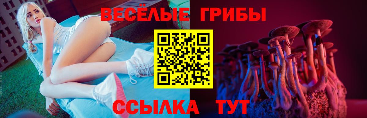 сколько стоит  Вход с VPN  Шумерля  Псилоцибиновые грибы Psilocybe 